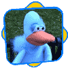 The Pigeon
