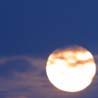 The Laws of Rosh Chodesh